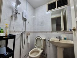 The Tanamera (D16), Condominium #485717711